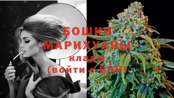 PSILOCYBIN Алзамай