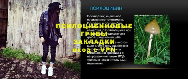 PSILOCYBIN Алзамай