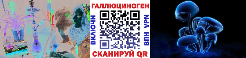 Псилоцибиновые грибы Psilocybe  Навашино 